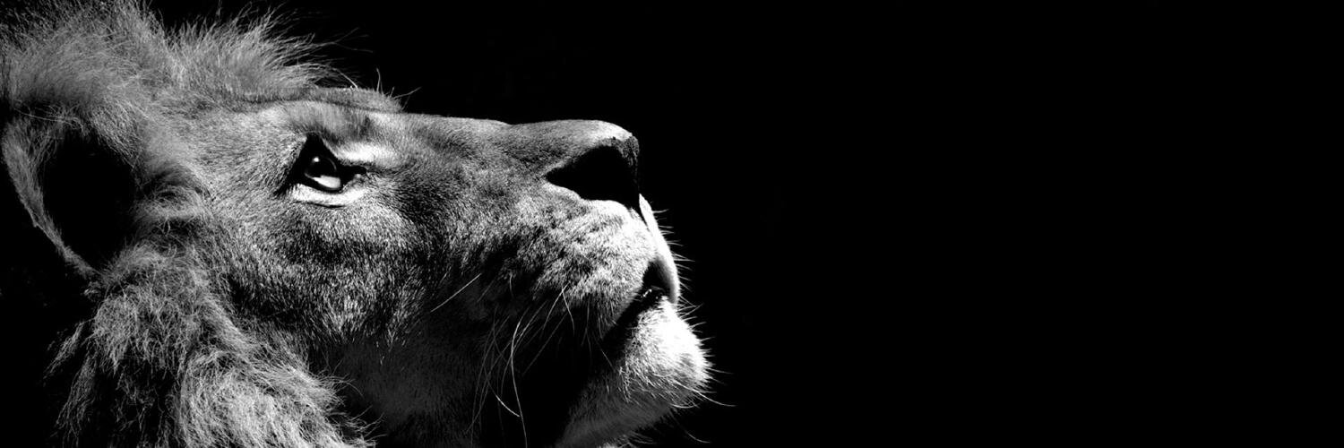 _Vincent_Time's profile banner image