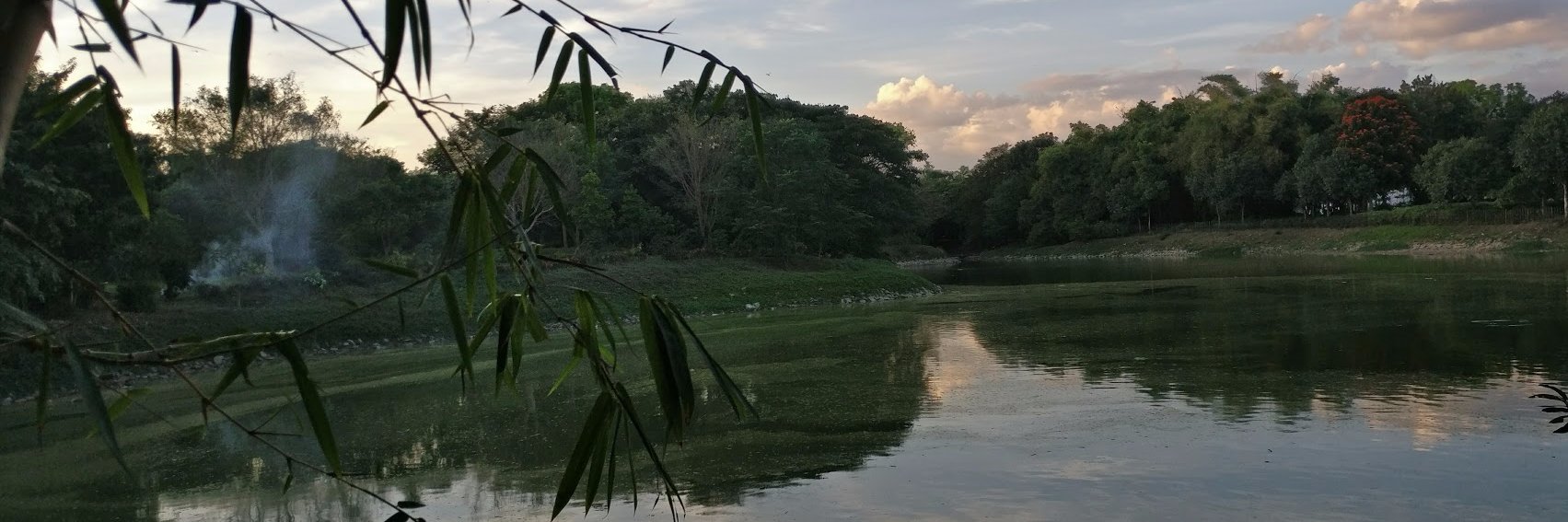 arunkumar_2295's profile banner image