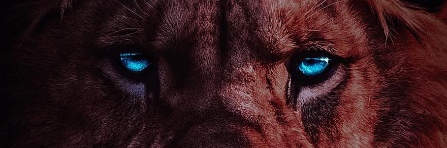 Tykey N. Reinberry™ banner