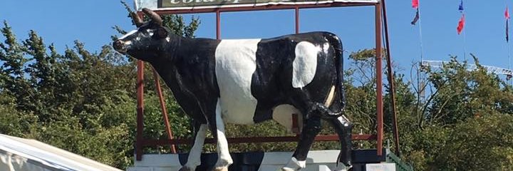 GlastoMilk's profile banner image