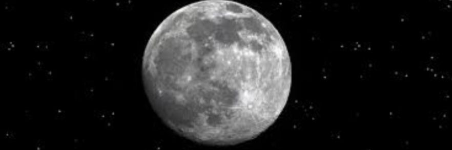 MelideYaylaoglu's profile banner image