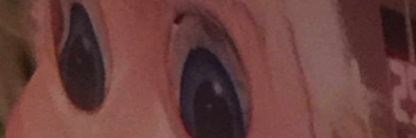 BigHMonsterDog's profile banner image