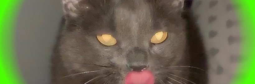 Pirgolo's profile banner image