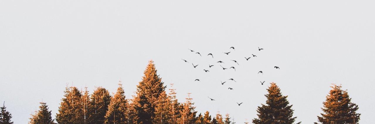 aashlleyx3's profile banner image