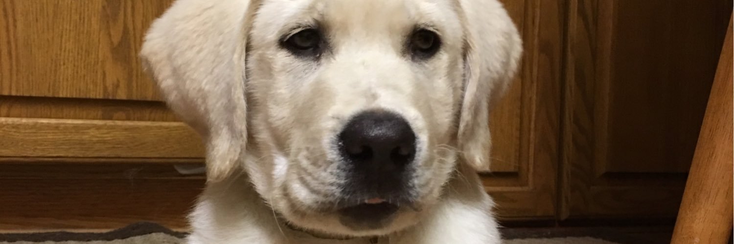 m5pett's profile banner image