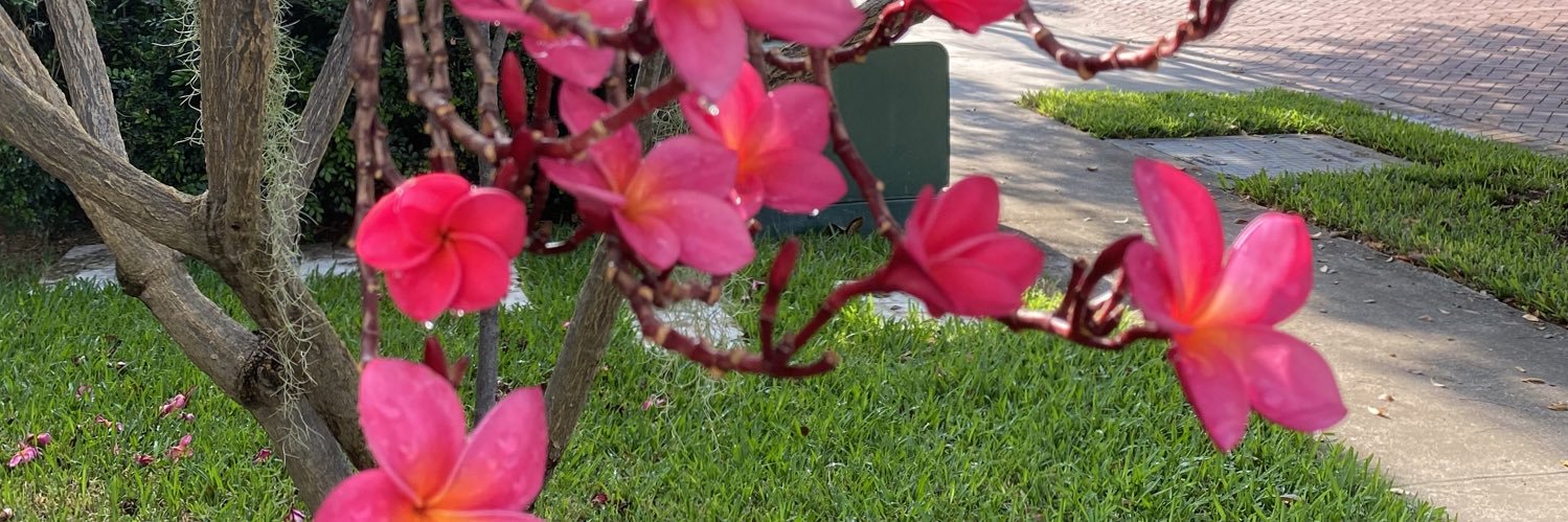 mcmancheno's profile banner image