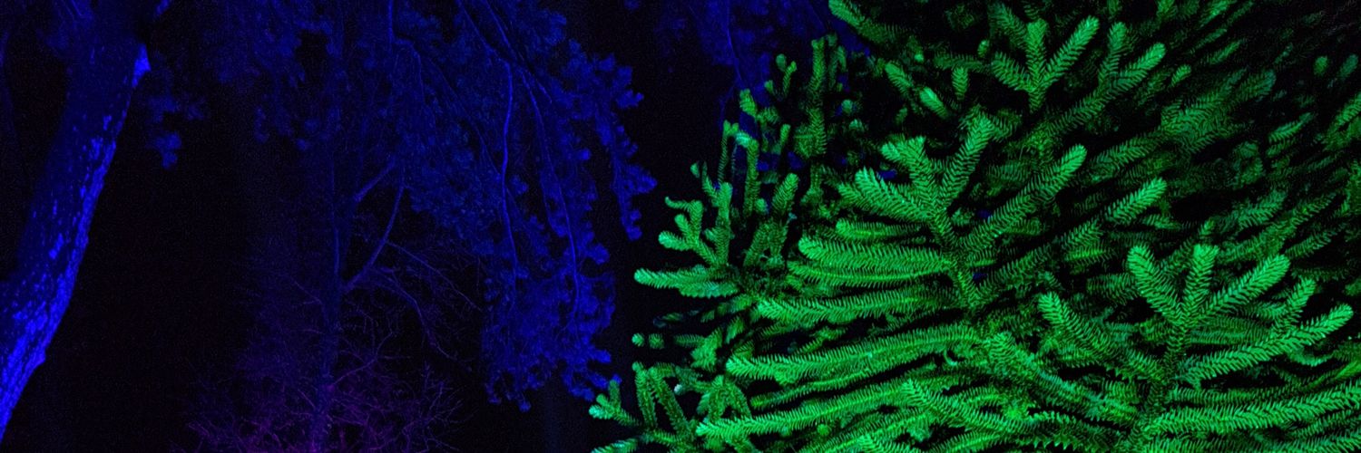 HallofJess's profile banner image