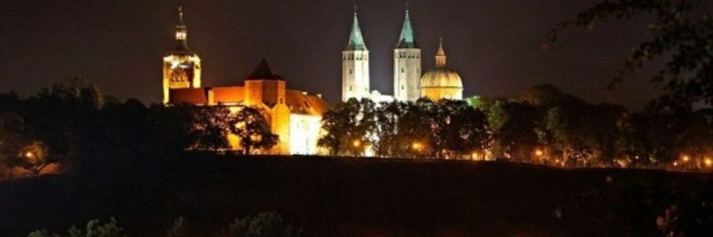 Maciej Szczepaniak banner