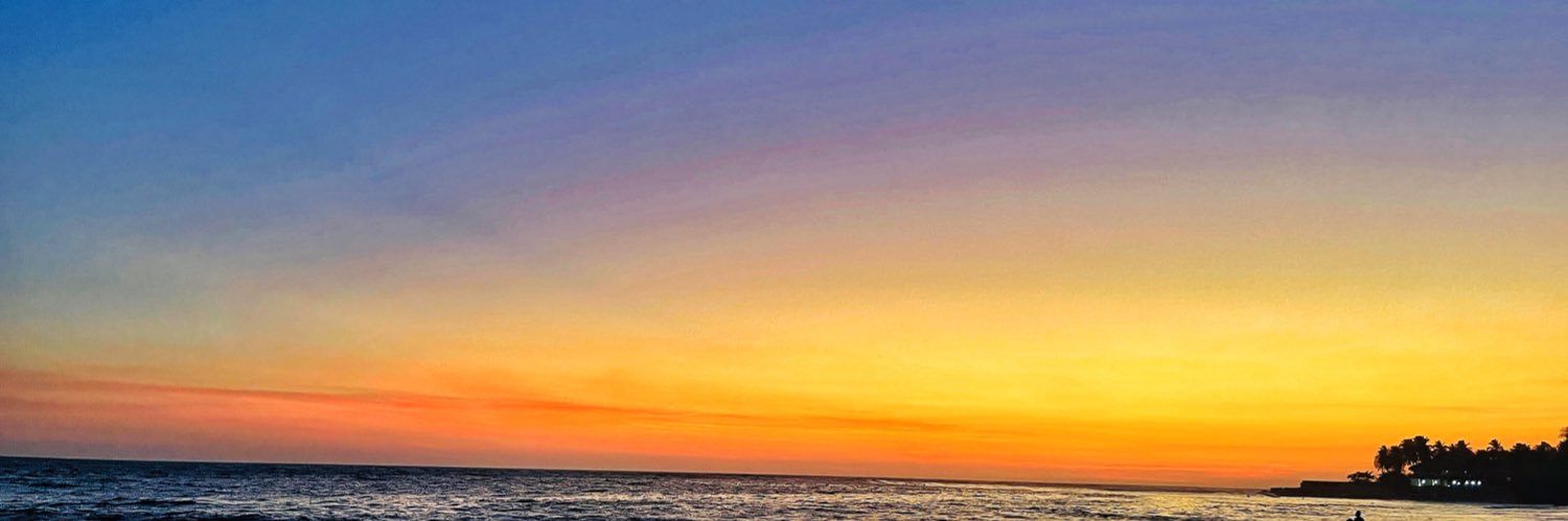 Andy Meriggio ✨ banner