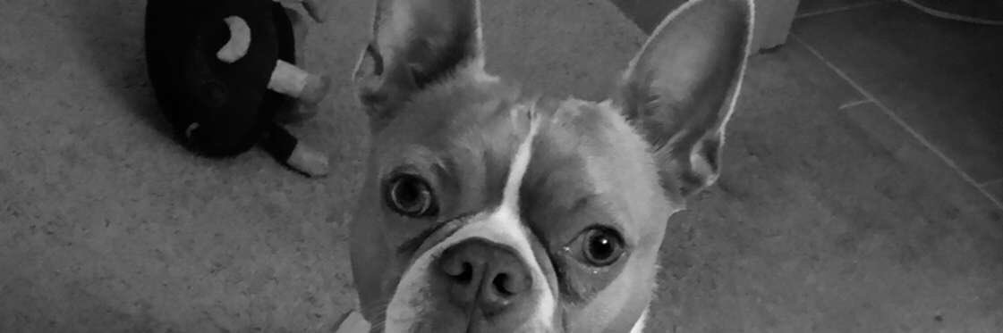 HaileyMadison99's profile banner image