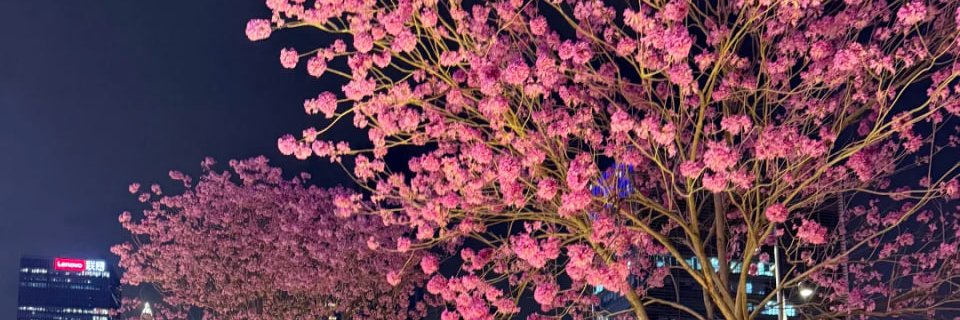 theLoveIsDead1's profile banner image