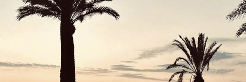 sergio_onoro's profile banner image