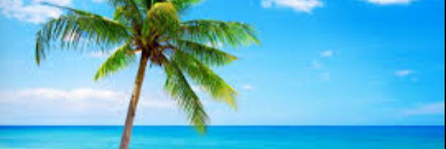 Irishtweet9's profile banner image