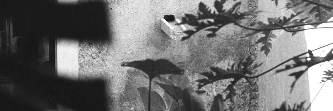 Angel_BM's profile banner image