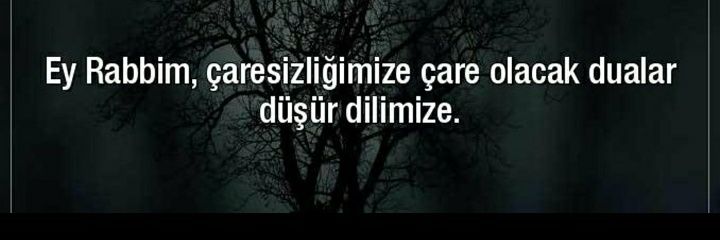 Selim_Kalp's profile banner image