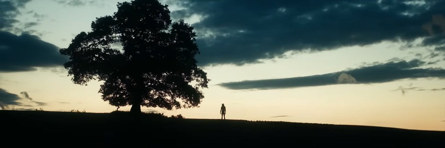 Elliott Maguire // The Horror banner