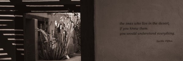 trueroon Profile Banner