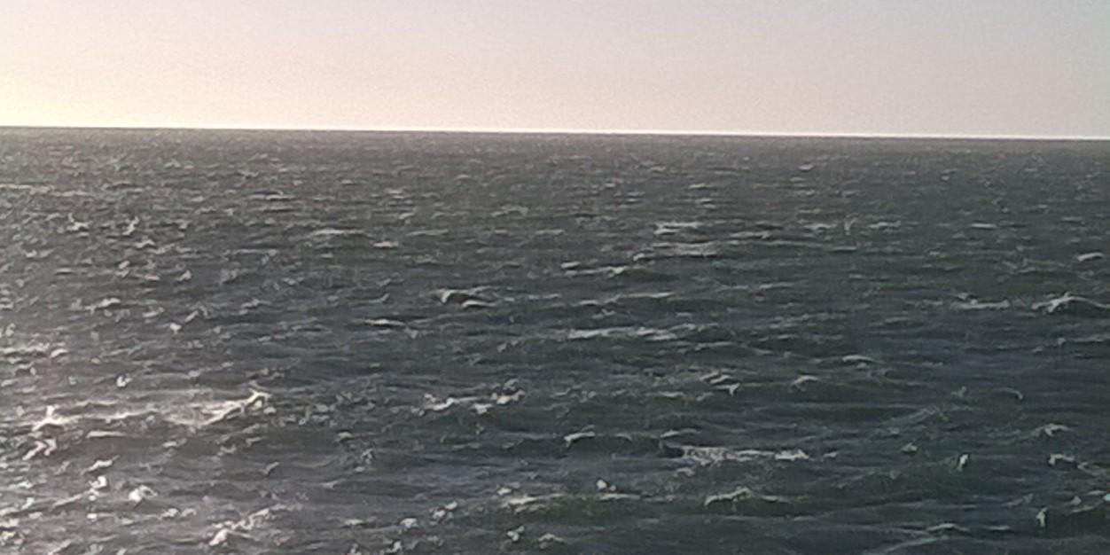 FriendDolphin's profile banner image