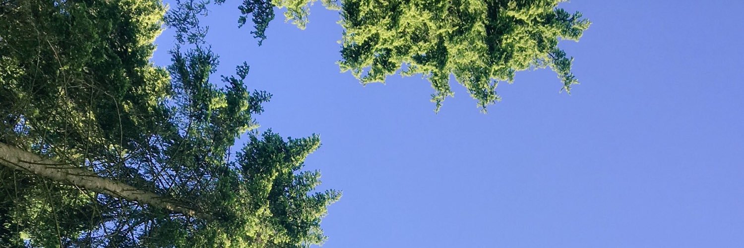 tlvia banner