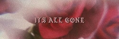 bubblegumshawn_'s profile banner image