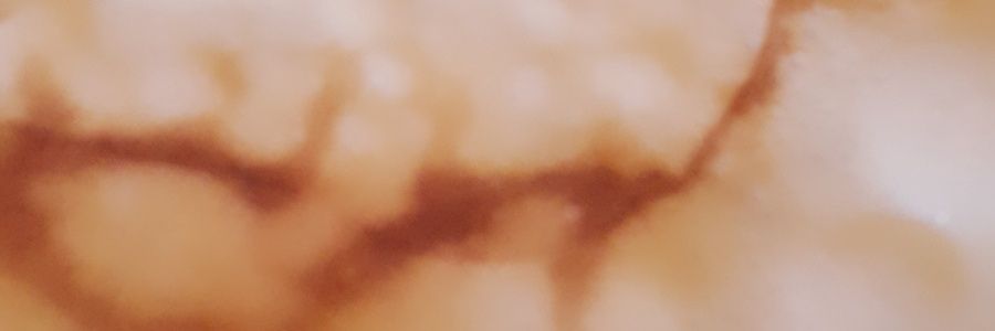 AliciaNelli's profile banner image