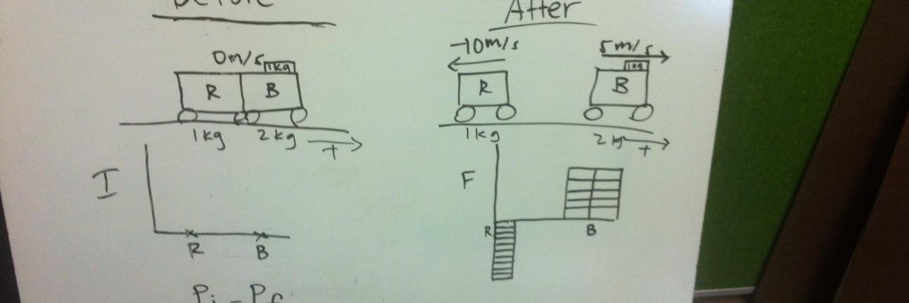 Kim Freudenberg banner