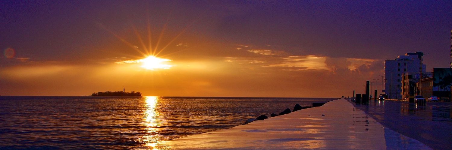 75Aracely's profile banner image
