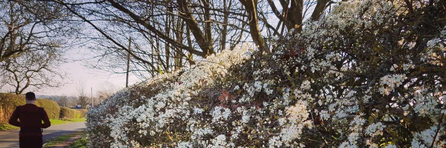 helz345's profile banner image