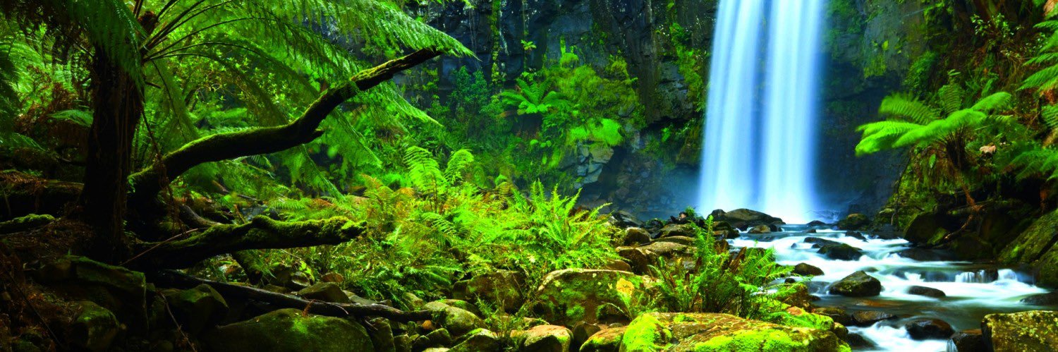 Marcelli_Syl's profile banner image