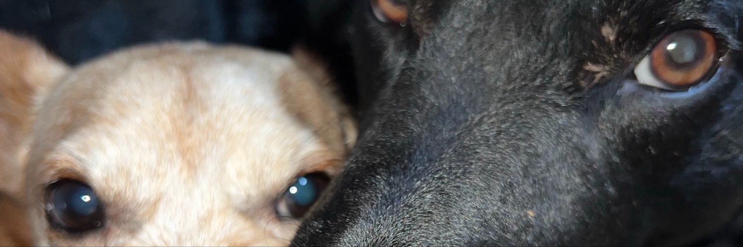 rafaqp06's profile banner image