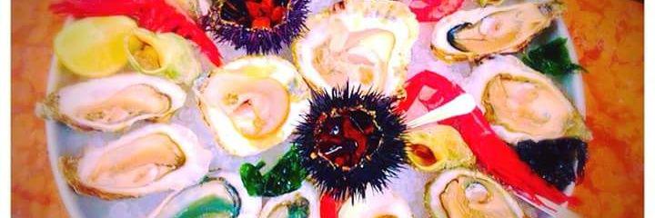Brest_oyster's profile banner image