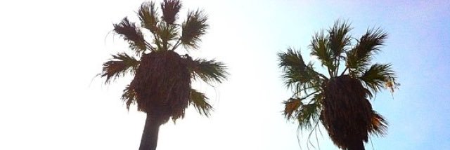 ItsLizDubon's profile banner image
