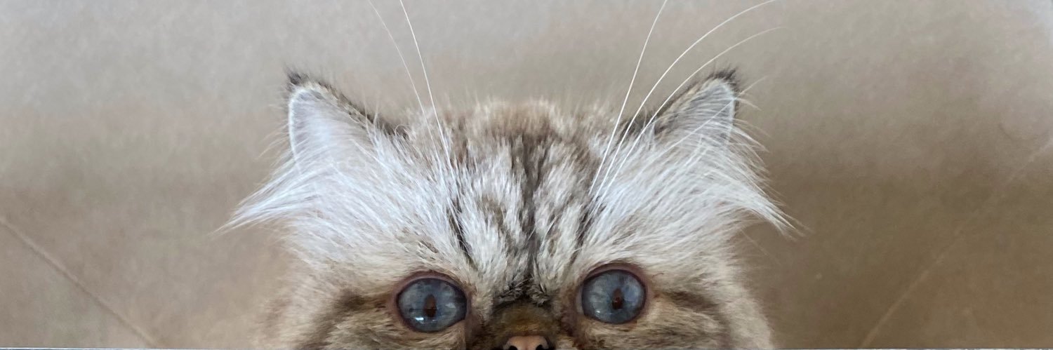 luisincho's profile banner image