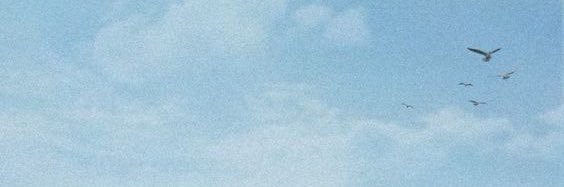 magosvg's profile banner image