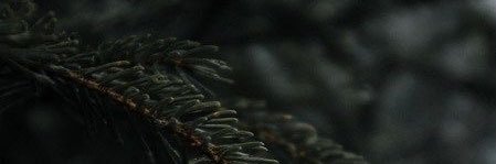 katt2214's profile banner image