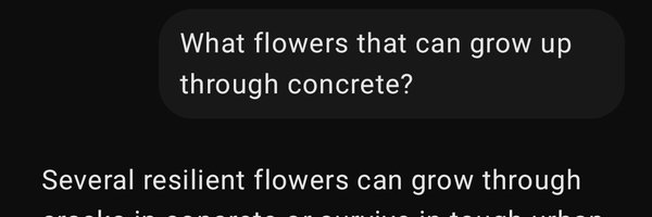 tsumitobachi_ Profile Banner