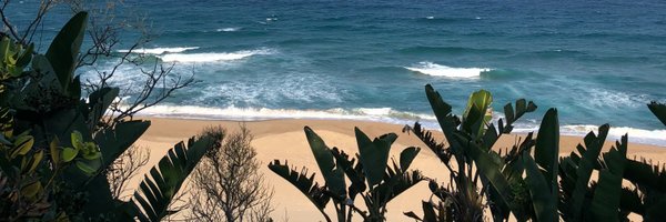 RachelWelicky Profile Banner