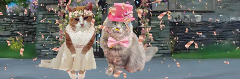 Willow & 🌈Rosie (Mrs Bear) banner