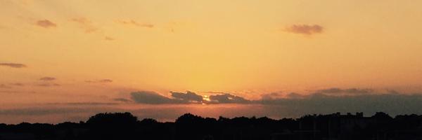 Traci0221 Profile Banner