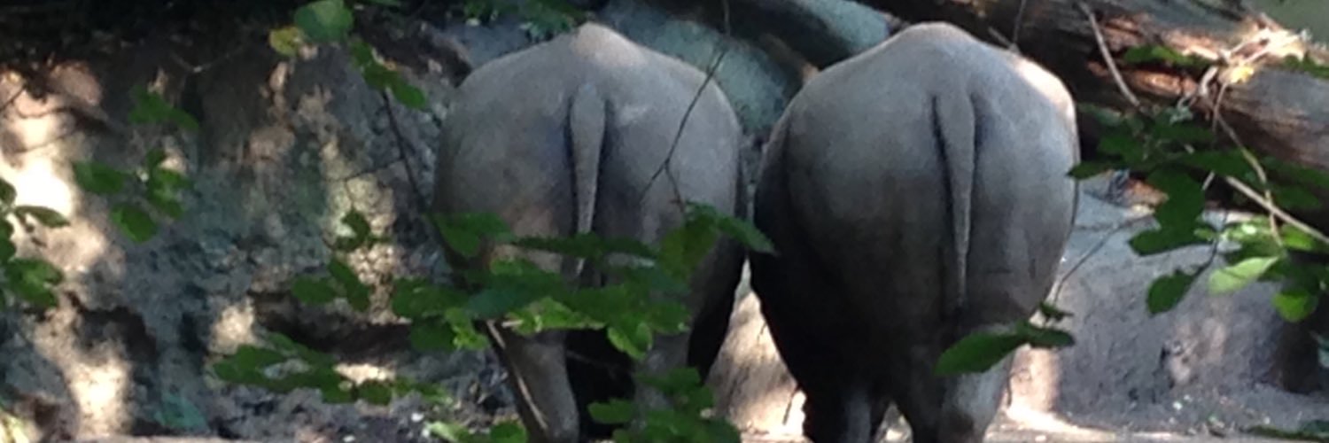 gerwiles's profile banner image