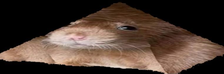 positionassumer's profile banner image