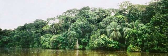 A. C. Roosevelt banner