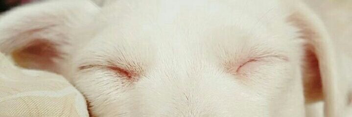 luciya_a's profile banner image
