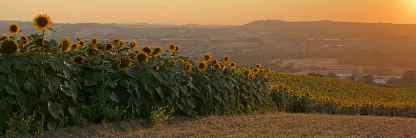 NotSofiaB's profile banner image