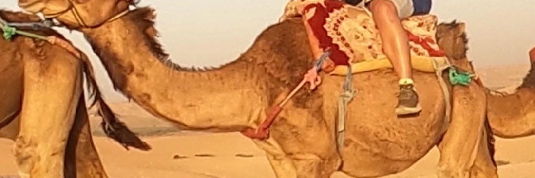 AmaroMawi's profile banner image
