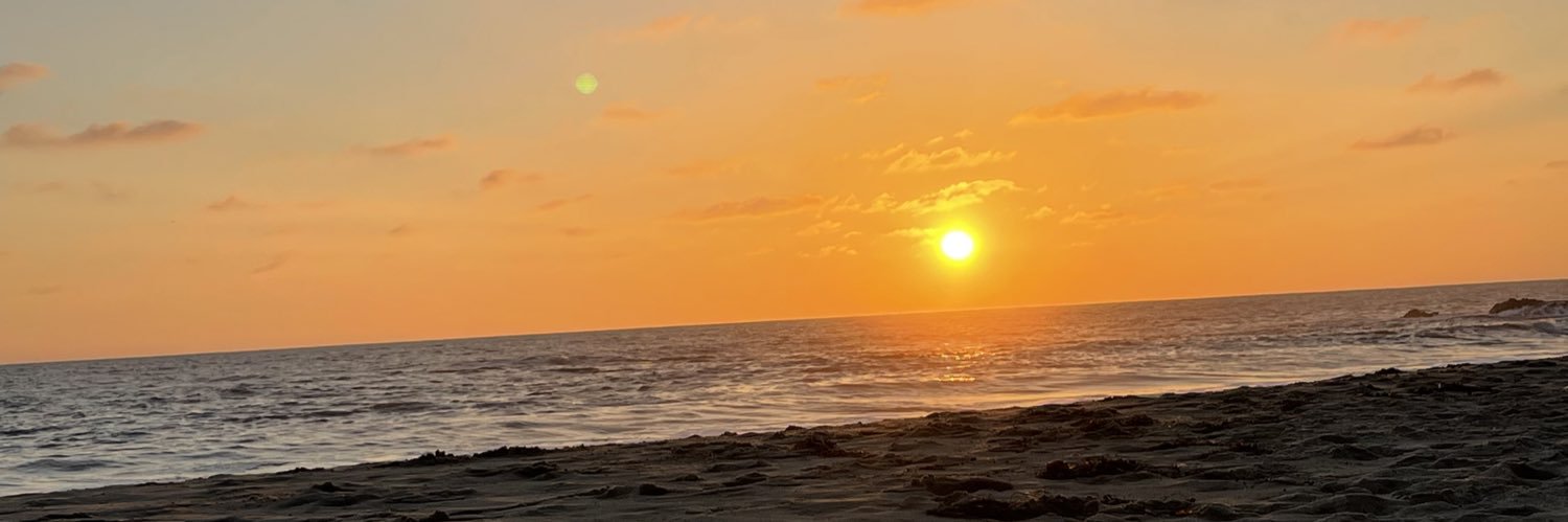 alyssazzamora's profile banner image