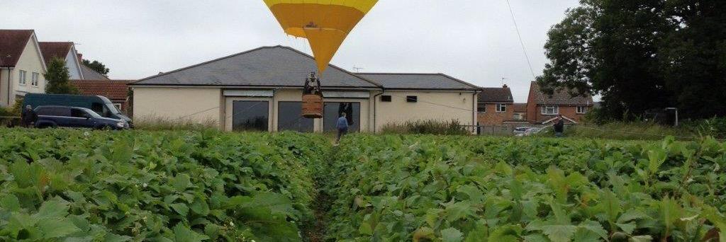 TiptreeBalloon's profile banner image