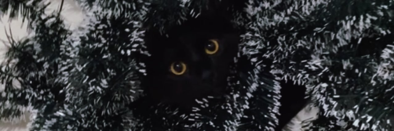 llua__'s profile banner image