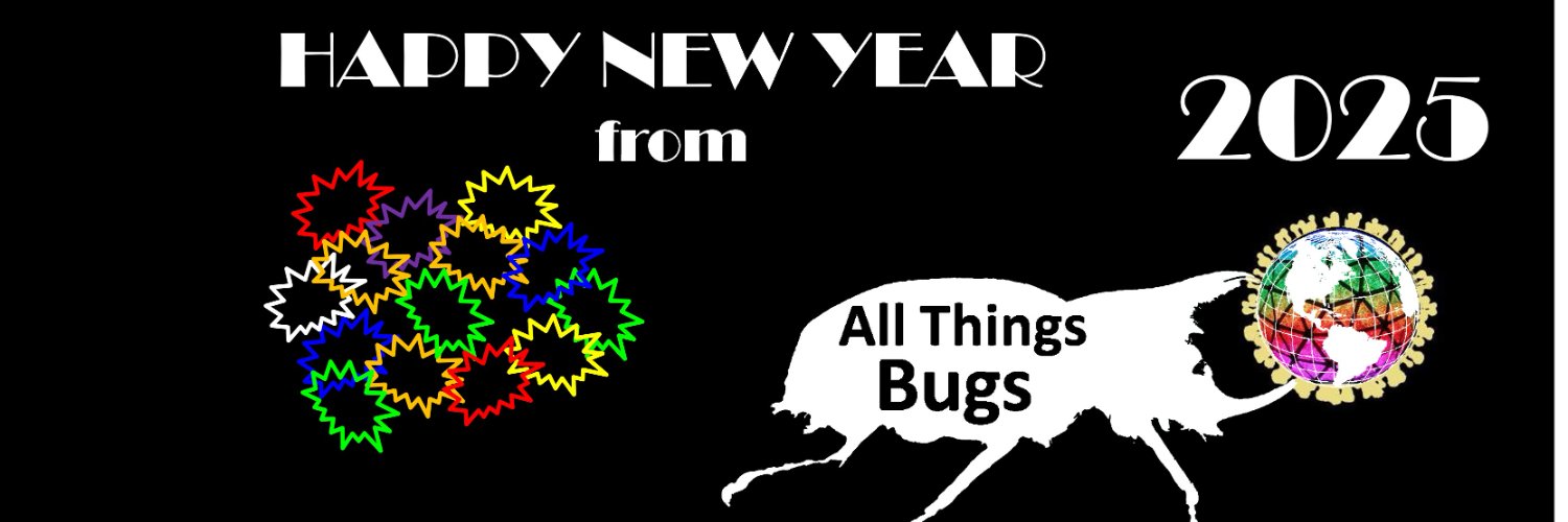 All Things Bugs banner