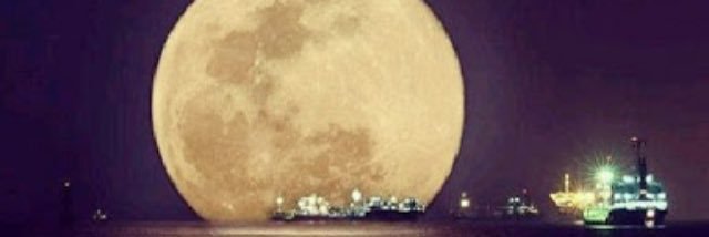 Lucastutss's profile banner image